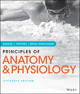 Test Bank for Principles of Anatomy and Physiology, 15th Edition by Gerard J. Tortora Test Bank 1