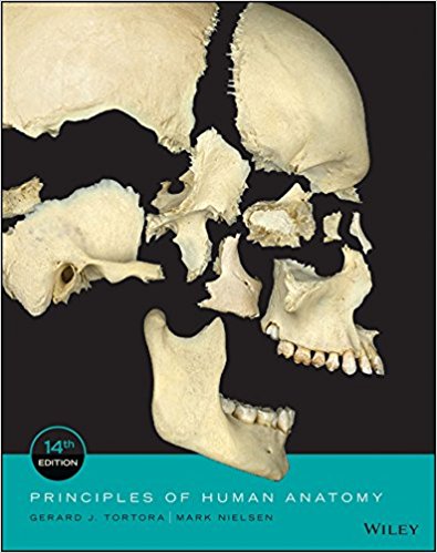 Test Bank for Principles of Human Anatomy, 14th Edition Tortora, Nielsen Test Bank 1